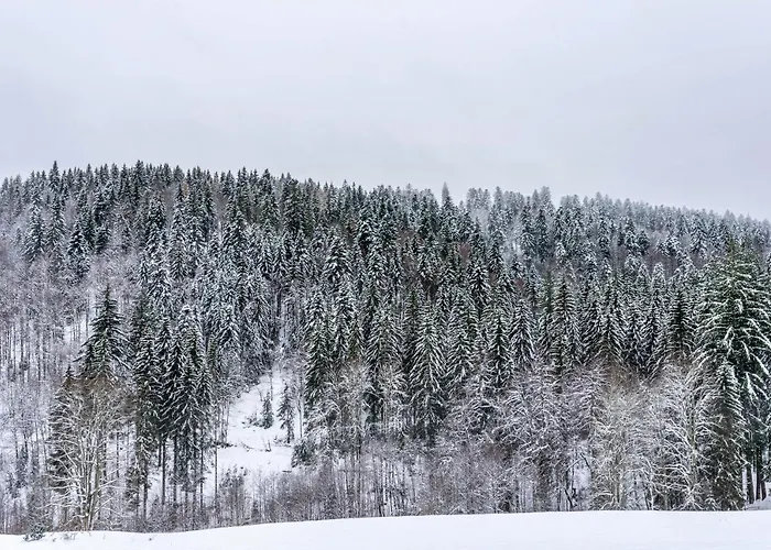 Koehlerstube Todtmoos