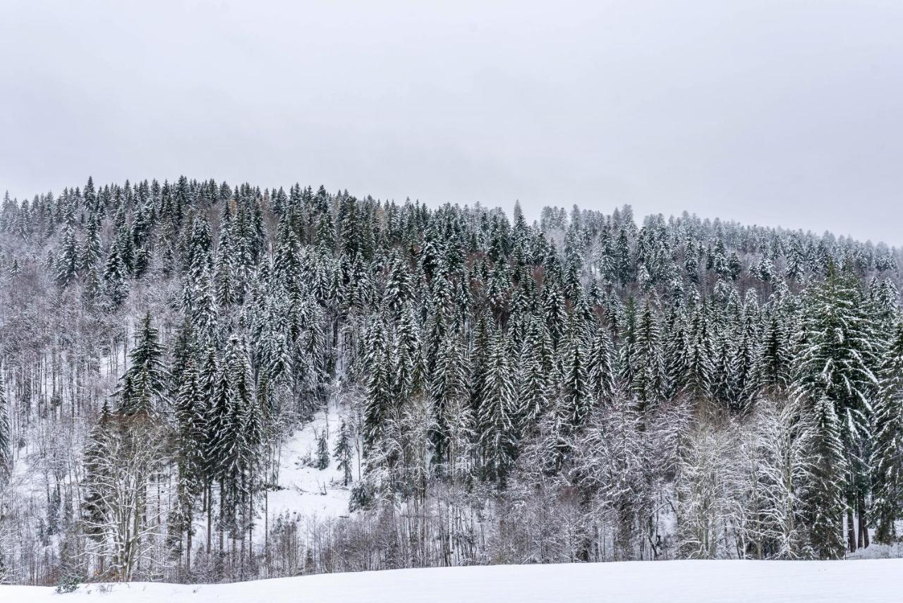 Koehlerstube *